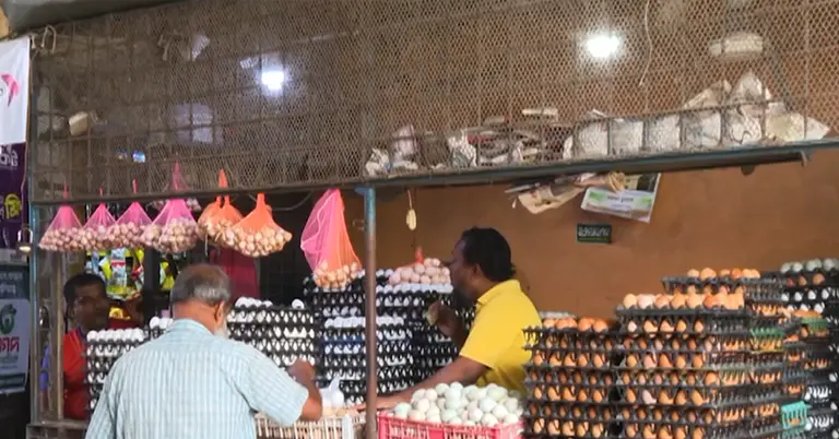 দোকান থেকে ডিম কিনছেন ক্রেতারা